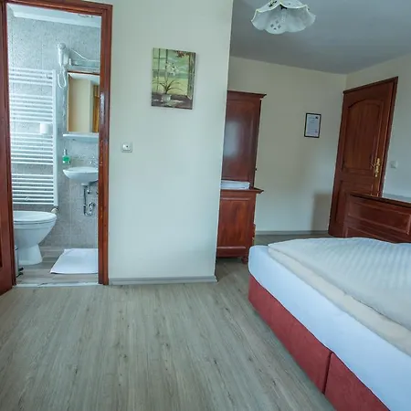 Centrum بيت ضيافة Říčany